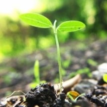  กำหนดการค่ายเยาวชน เติมฝันและพลังเครือข่ายเยาวชนต้นกล้าในป่าใหญ่ ปี ที่ 2 ณ ศูนย์ฝึกอบรมธนาคารไทยพาณิชย์ หาดตะวันรอน จังหวัดชลบุรี