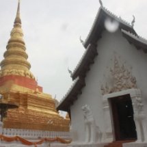 กิจกรรมฝึกอบรมการเป็นมัคคุเทศน์จากสถานที่จริง