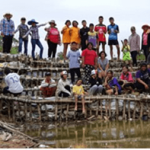 โครงการพี่เลี้ยง : เฟส 1