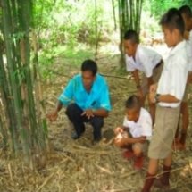 ฐานไผ่หวาน