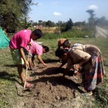 กิจกรรมที่2 ปลูกผัก