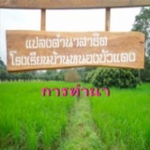 ฐานการทำนา