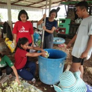 เกษตรยุคใหม่ปลอดภัยจากสารเคมี
