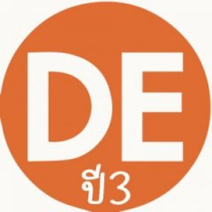 DE ปี 3