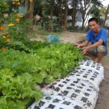 สวนสวยด้วยผักและกิจกรรมขยับกายสบายชีวีวิถีพุทธ