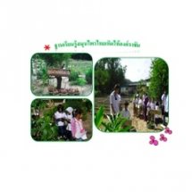 สมุนไพรเทิดไท้องค์ราชัน