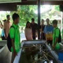 ฐานเพราะเลี้ยงพันธุ์ปลา