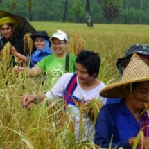 เทศกาลการเรียนรู้ในพื้นที่ (Leaning Festival) ตอน โรงเรียนท้องนา