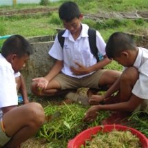 การวางแผนการปฏิบัติงานตามโครงการ