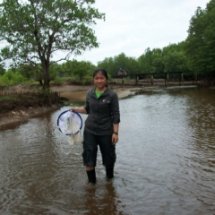 ความหลากหลายทางชีวภาพของแพลงก์ตอนพืชที่เป็นอาหารของลูกปลาทู ณ แหลมแม่รำพึง จ.ประจวบคีรีขันธ์