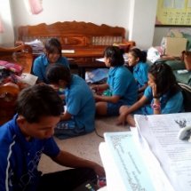 หาข้อมูลเรื่องการเลี้ยงกบ