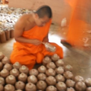 โครงการเพาะเห็ดนางฟ้า