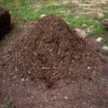 	 ศึกษาอิทธิพลของน้ำหมักชีวภาพที่มีผลต่อการกำจัดกลิ่น เพื่อการพัฒนาอย่างยั่งยืนสู่หลักปรัชญาของเศรษฐกิจพอเพียง