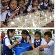 ฐานการเพาะถั่วงอก