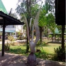 ทีมขับเคลื่อนเยี่ยมโรงเรียนศึกษาสงเคราะห์ธวัชบุรี