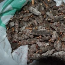 ภารกิจพิชิตครั่ง