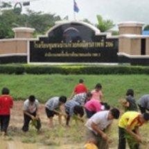 ข้าวเพื่อชีวิต