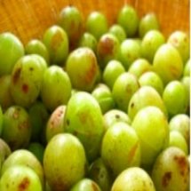 ฐานมะขามป้อม