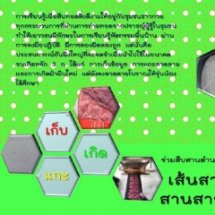 6.สรุปผลนำเสนอ