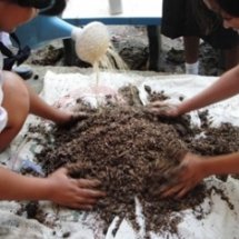 โครงงาน อี.เอ็ม. ( E.M.) นั้นสำคัญไฉน