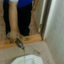 กิจกรรมที่ 3 ราดน้ำหมักชีวภาพ