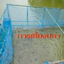 ฐานการเลี้ยงปลา