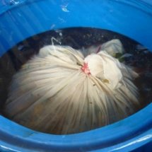 กิจกรรมที่ 2 ทำน้ำหมักชีวภาพ