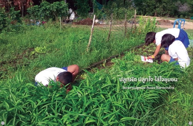 โครงการปลูกเอง กินเอง ไร้สารตกค้าง
