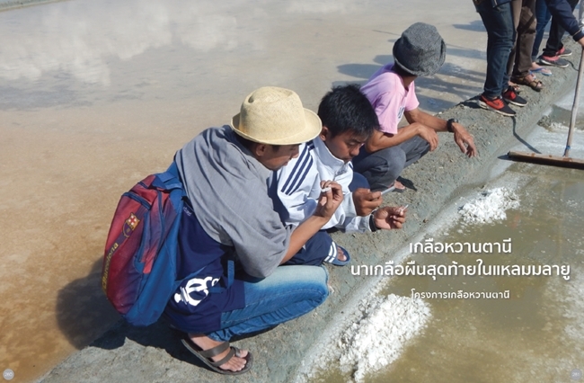 โครงการเกลือหวานตานี