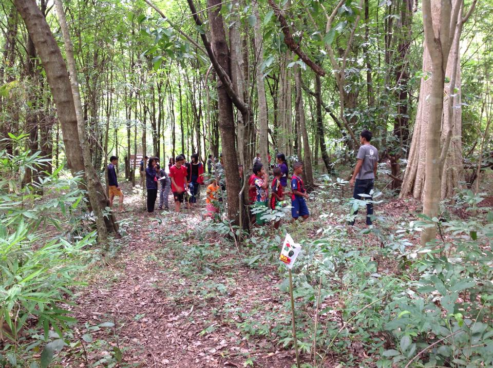 กลุ่มเยาวชนป่า น้ำ ซำ